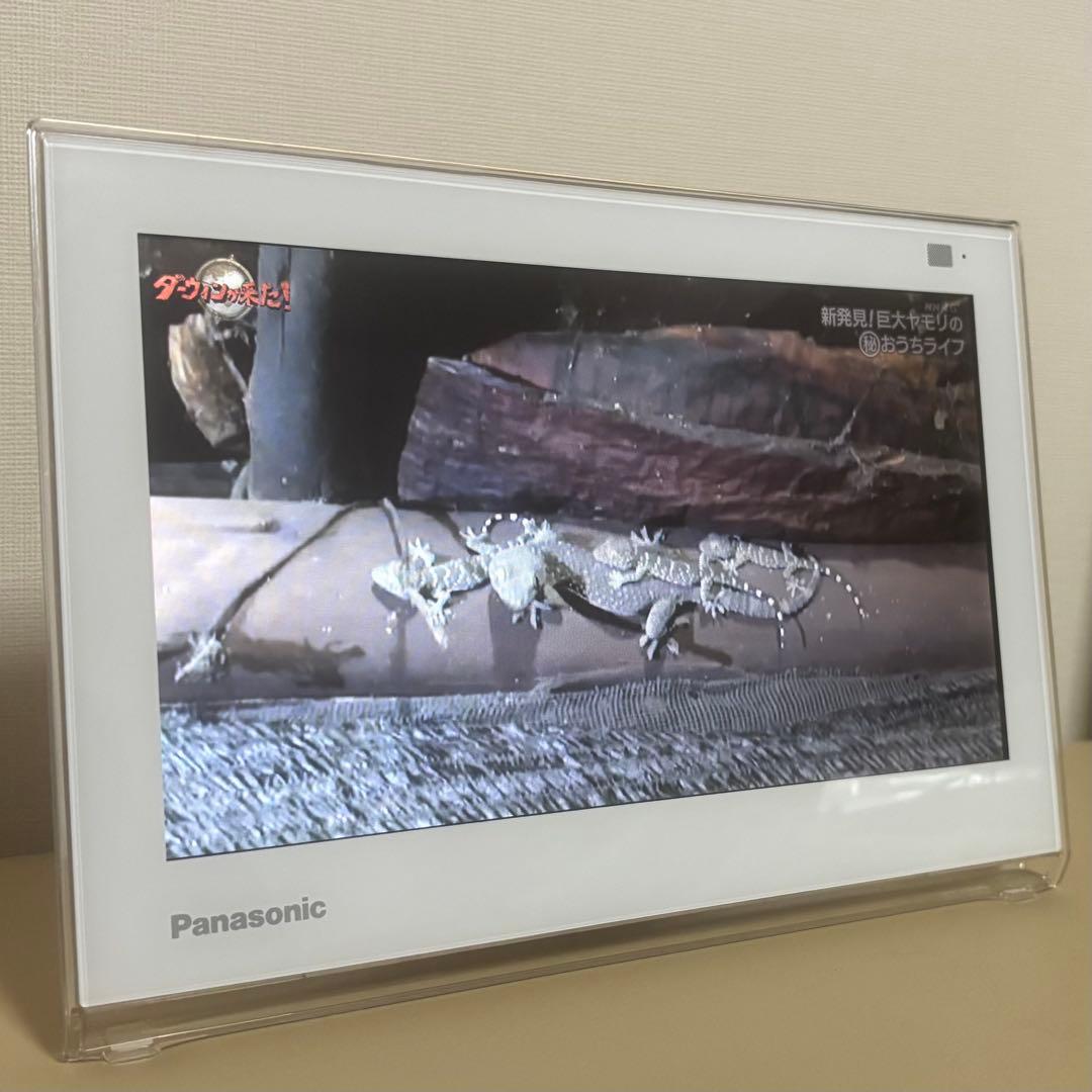 Panasonic プライベート ビエラ VIERA 10インチ