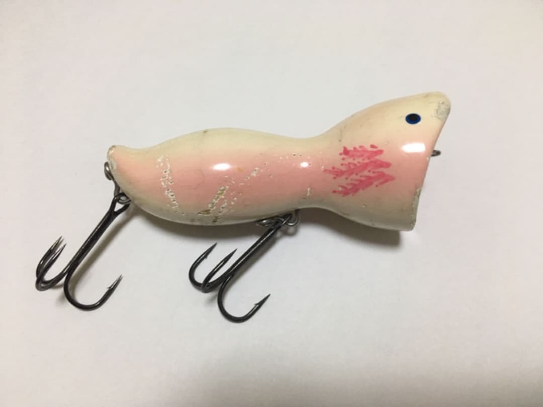 イソノファクトリー チャチャチャのお姉さん