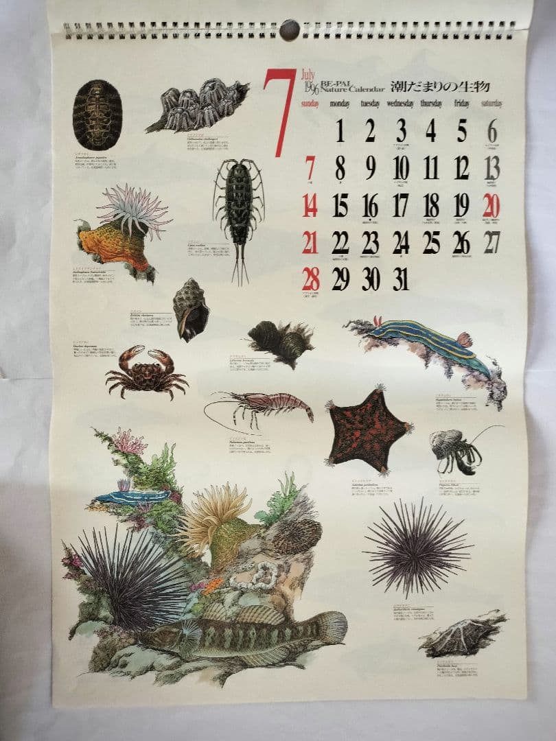 BE-PAL ビーパル カレンダー 新品未使用 1996年　ヴィンテージ