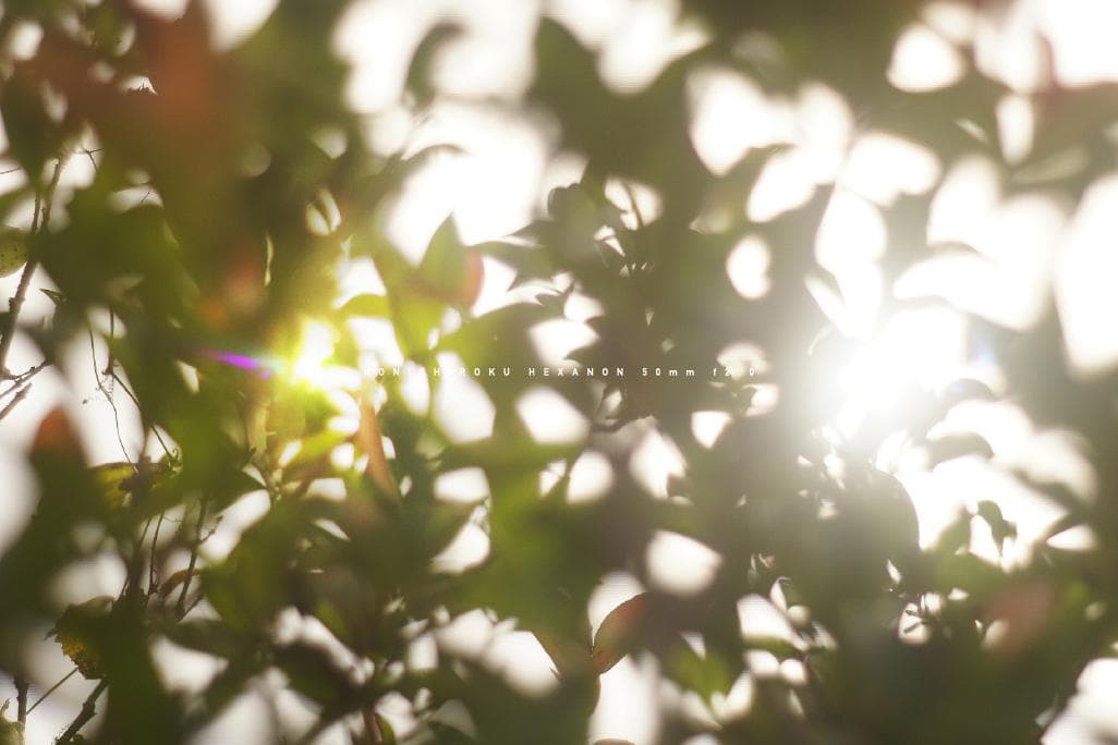 ★レア★ 小西六 HEXANON 50mm F2.0 LMマウント改造レンズ