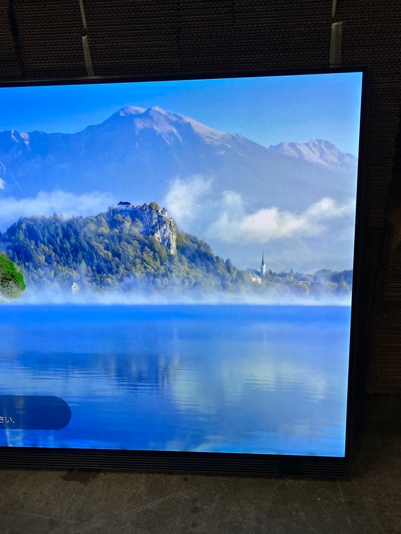 H*i様 LG 定価879,868円 OLED65E7P 65型有機ELテレビ