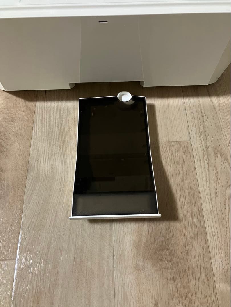 サキナ ルルシェ