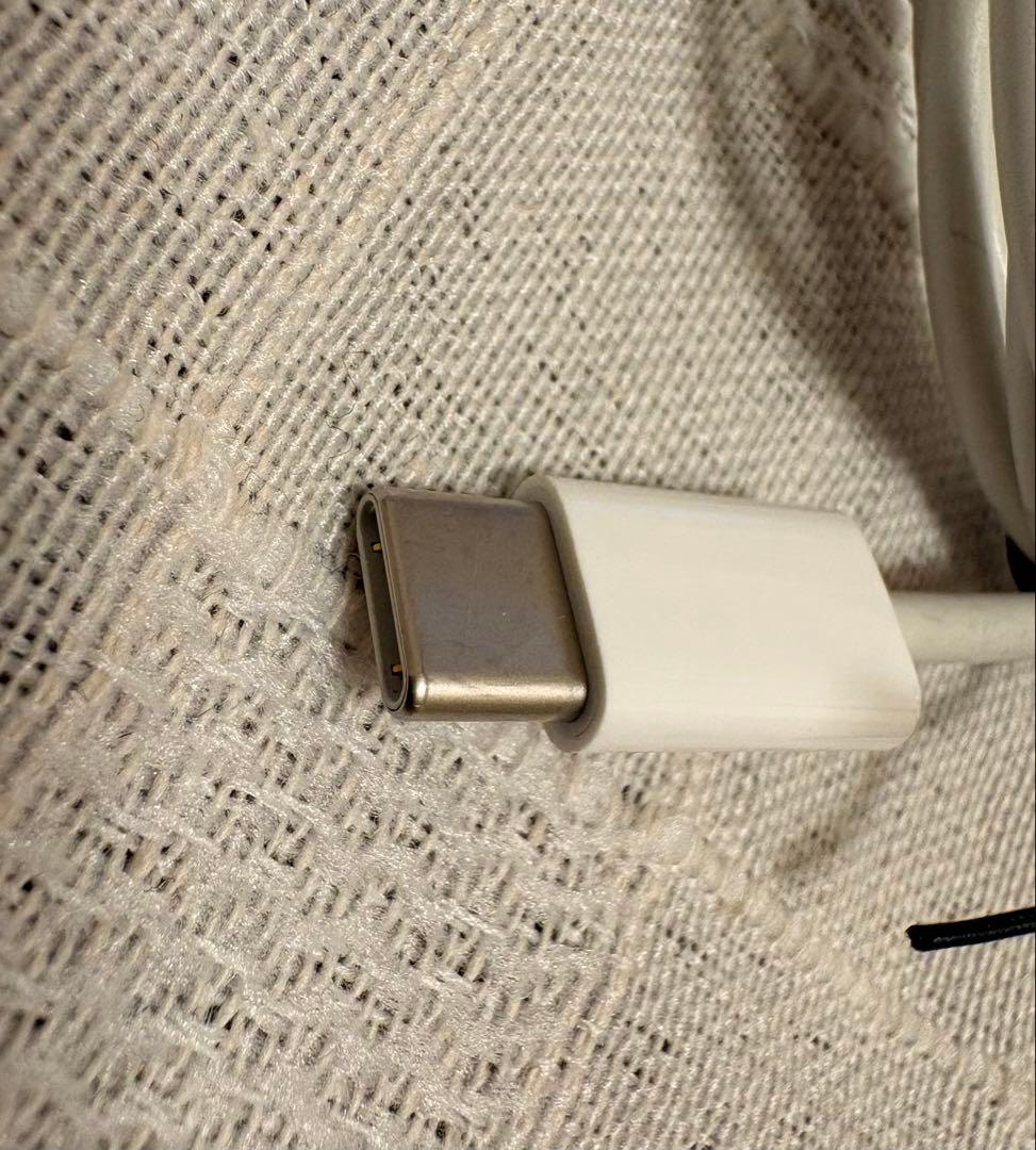 iPad Pro 11インチ第1世代256GB Apple Pencil第2世代