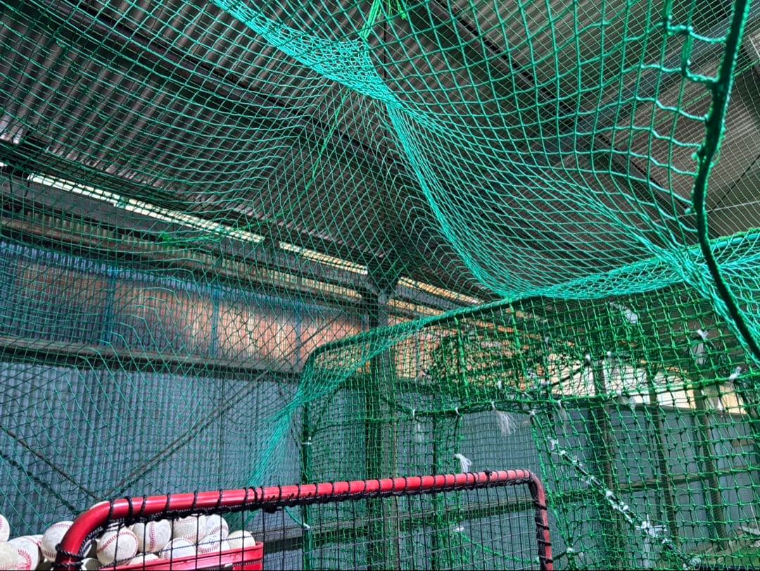 本格　とりかご　バッティングゲージ　硬式　練習　室内練習場　ネット　人工芝　打撃
