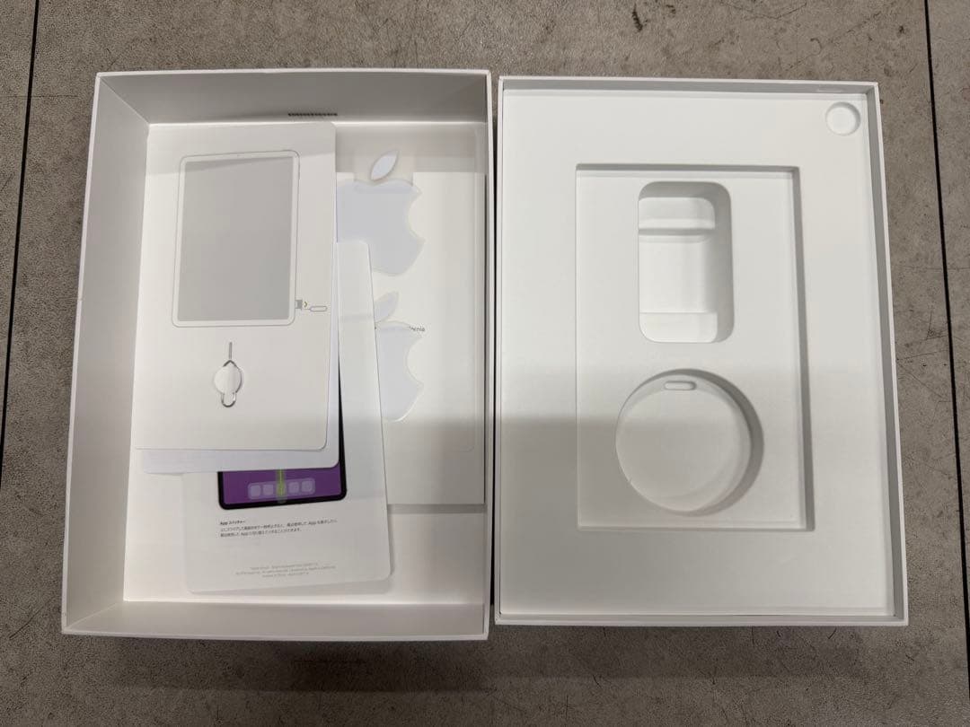 iPad Pro 11 (第1世代) 256gb セルラースペースグレー