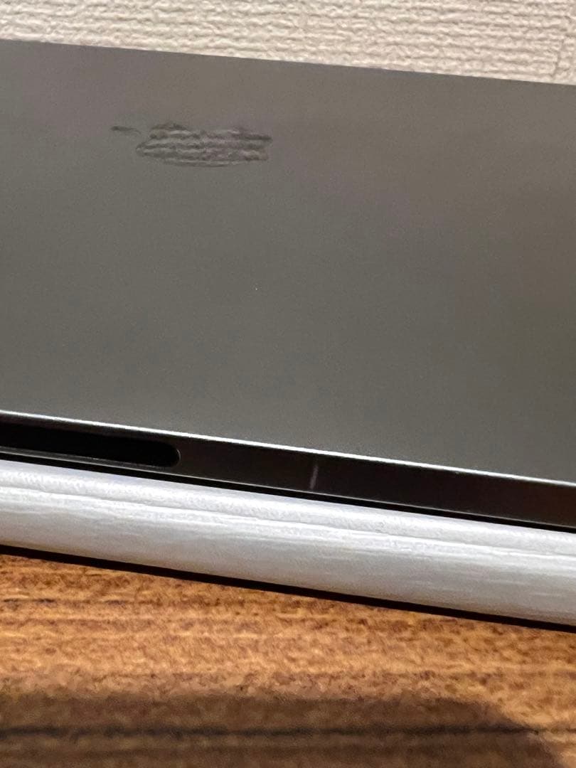 iPad Pro 第1世代256GB wifi + 社外製ペン