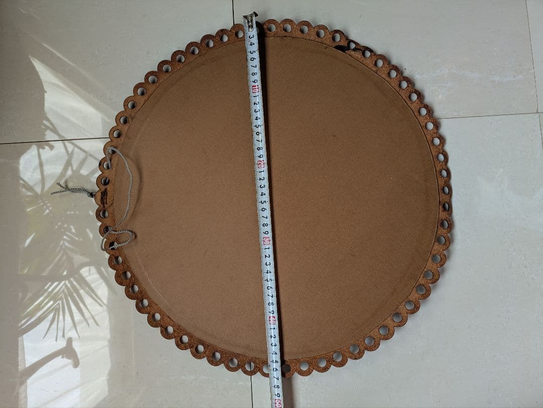 特大 極美☆神秘の輝き モルフォ蝶　美と幸運を招く一枚　Morpho 　標本