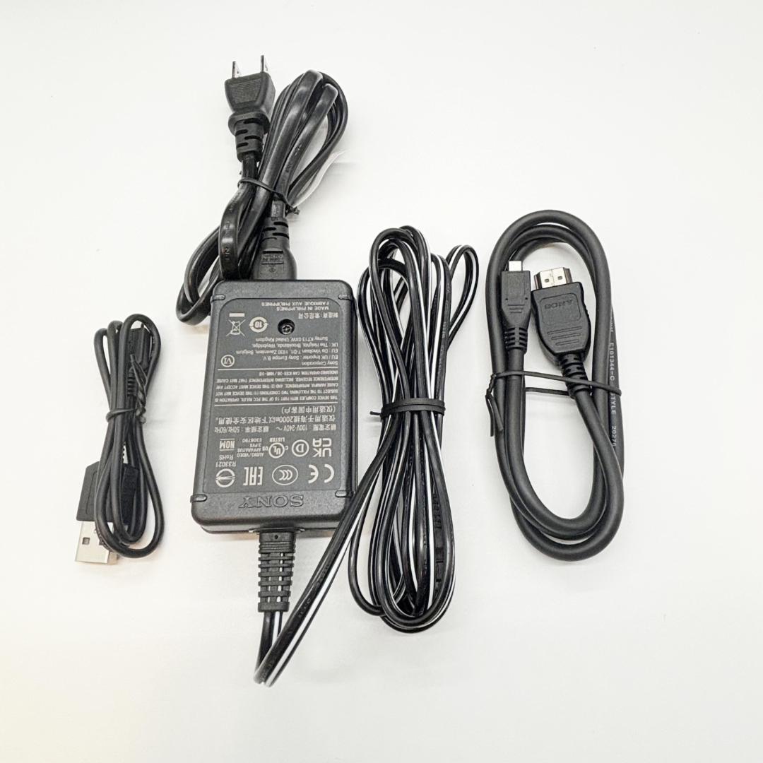 SONY HANDYCAM 4K ビデオカメラ ソニー FDR-AX45A