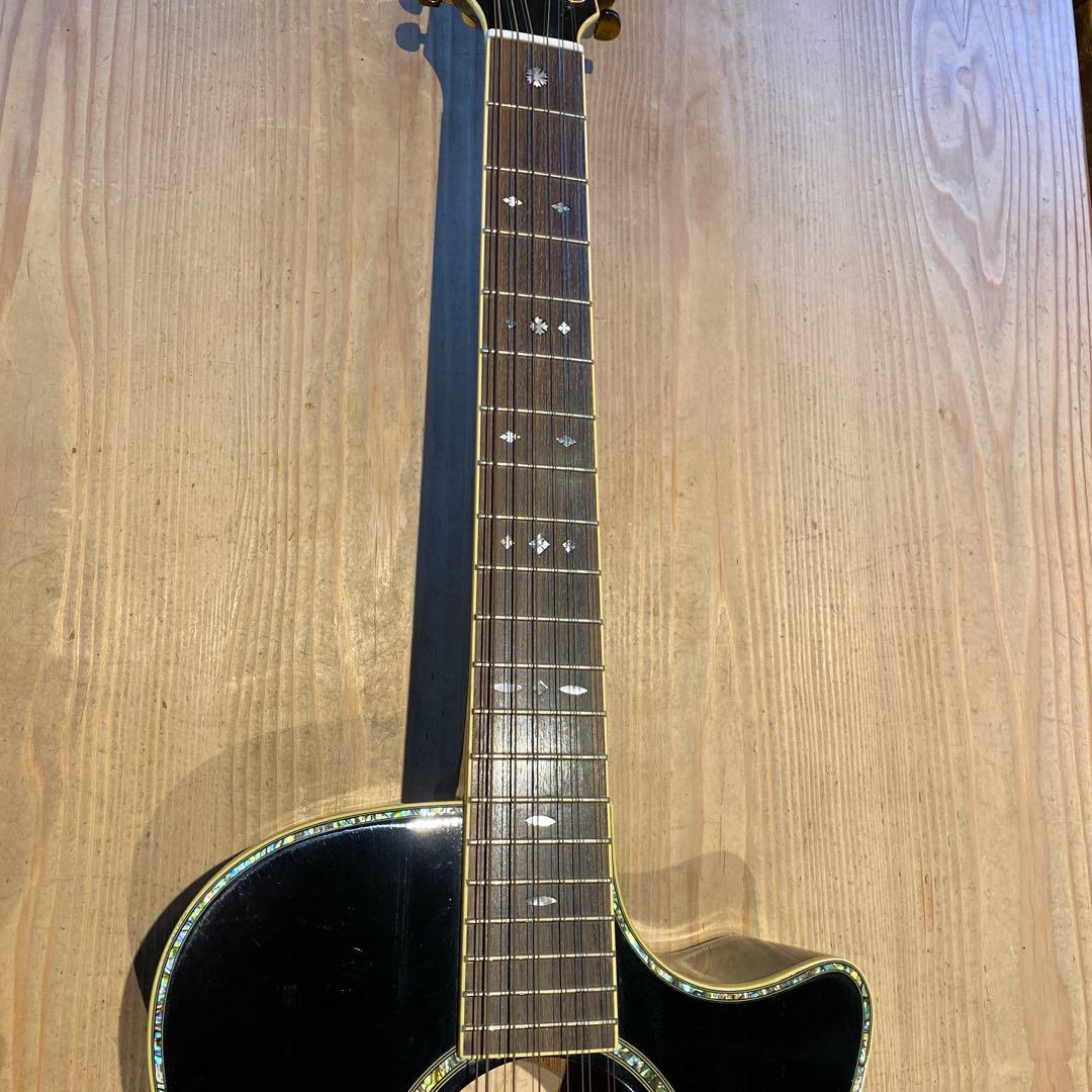 アコースティックギター12弦 SPT オマケ付き