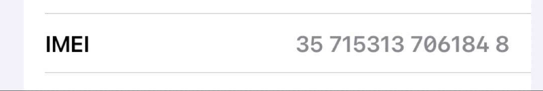 iPad mini（A17 Pro）Wi-Fi + Cellular