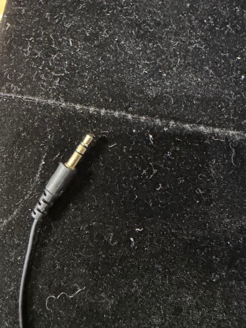 ヘッドホン リリイ・シュシュのすべて 大学生fujiさん着用 swag