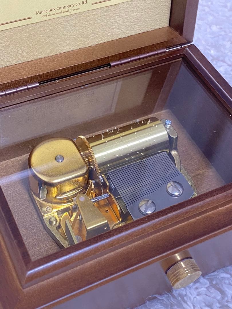 ディズニー アラジン 小樽オルゴール A Whole New World ⁺˳✧