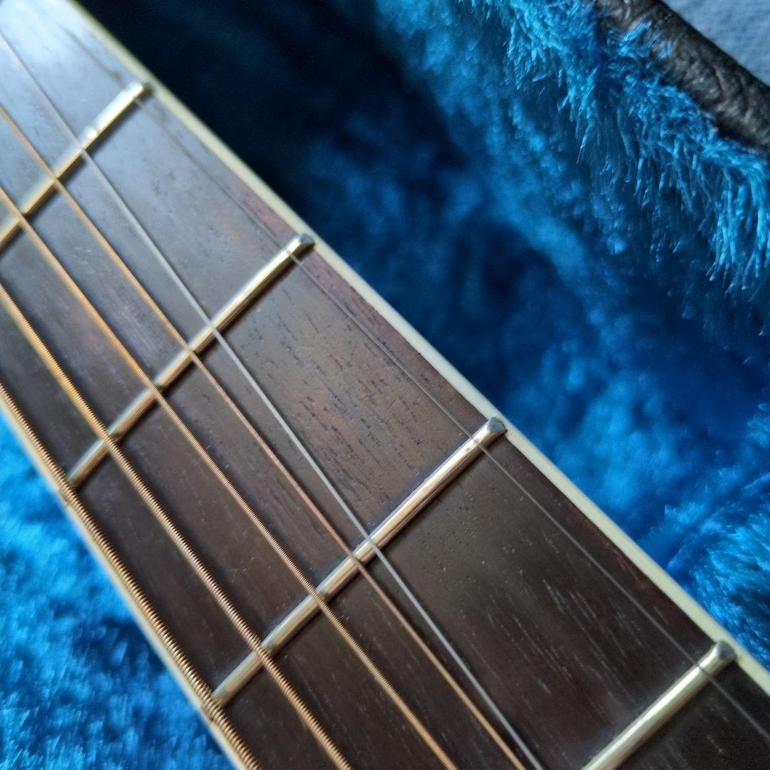 ARIADreadnought アコースティックギター