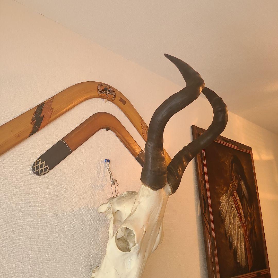 最終値下げ　バッファロースカル　牛頭蓋骨　壁掛け　オブジェ