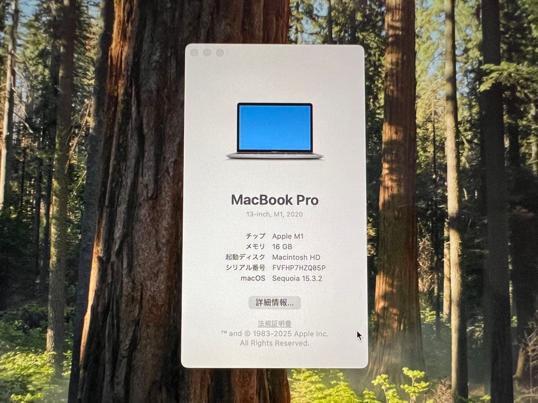 Apple MacBook Pro 13インチ M1 充電器付き