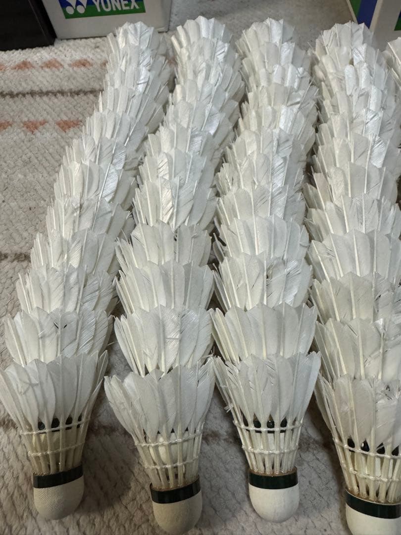 ニューオフィシャル　4番　ノックシャトル