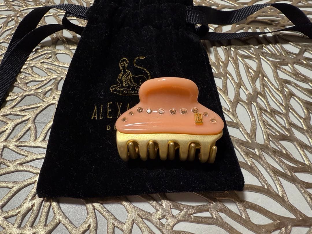 アレクサンドルドゥパリ★ヘアクリップセット