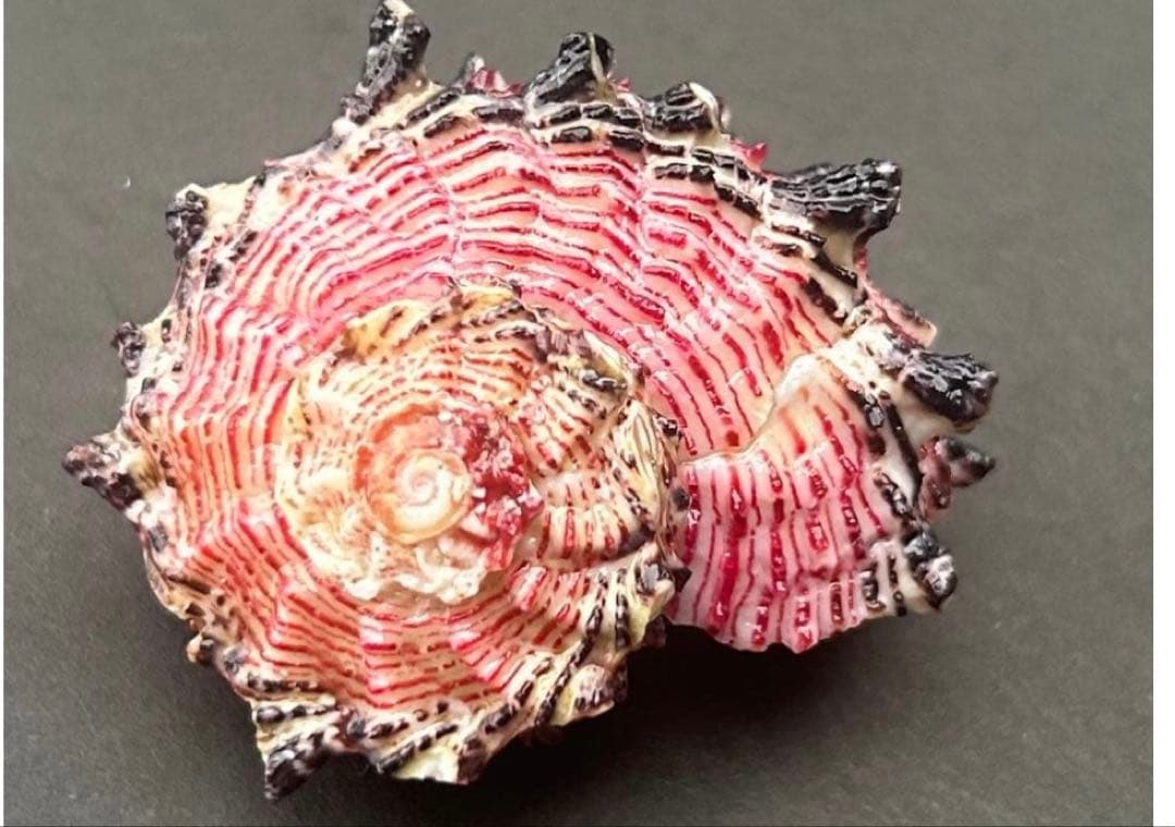 専用　まとめ11点