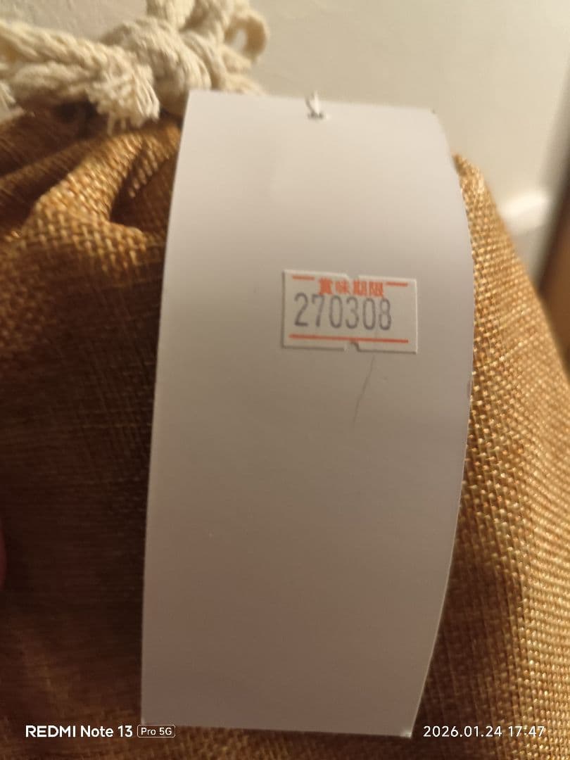 ELMO ORGANIC サーモン 5.4kgセット賞味期限2027年3月8日