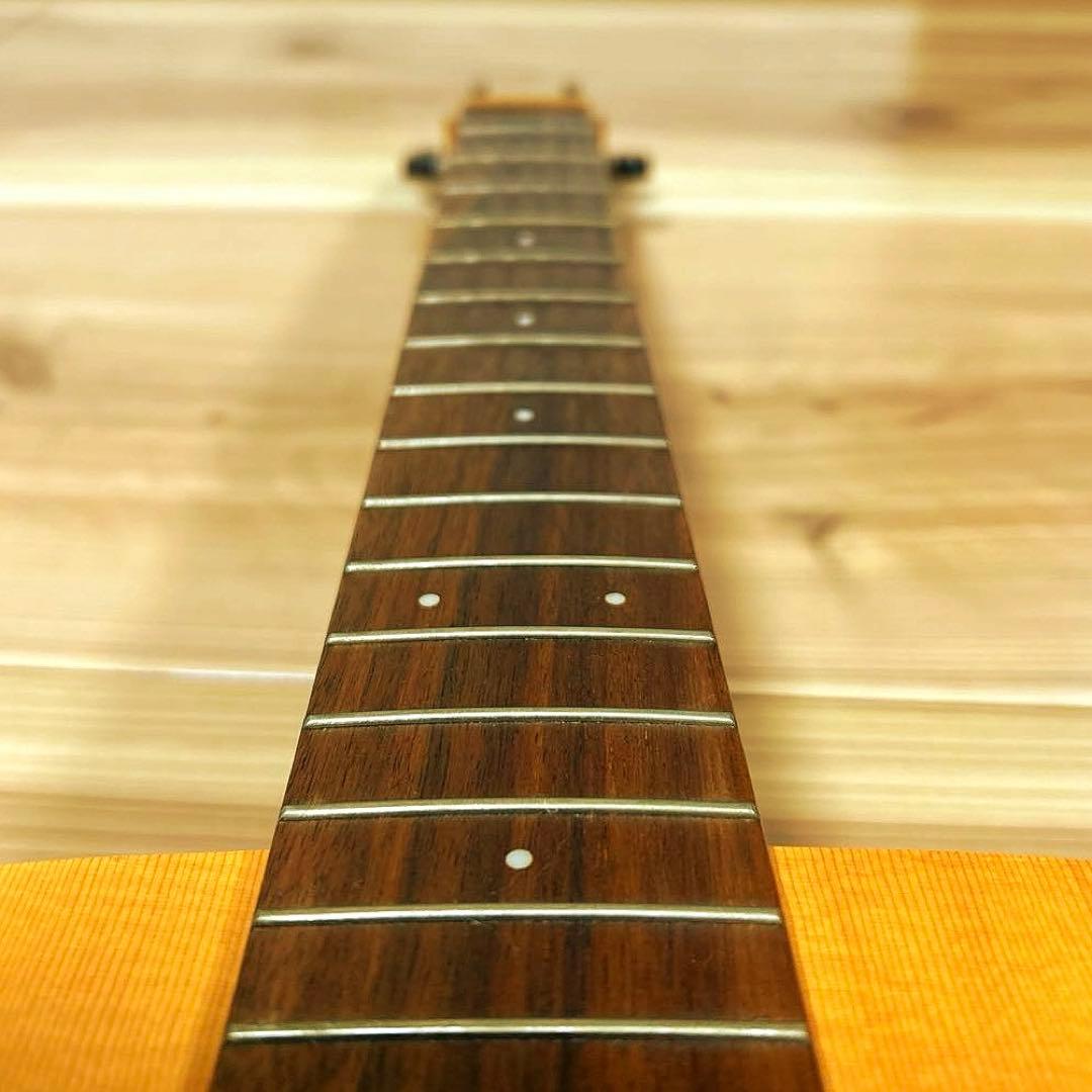 ギター cort Earth MINI