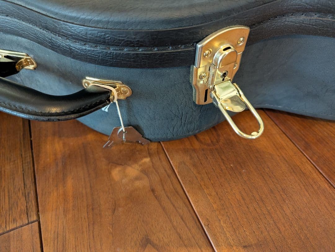 K.yairi　NY-120V　2012製　12F オール単板　ローズウッド