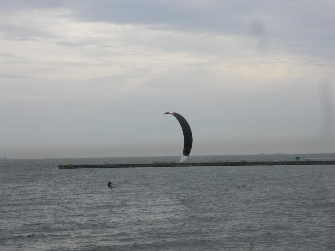 【動作確認済】LUMIX DMC-FX55 (Panasonic )