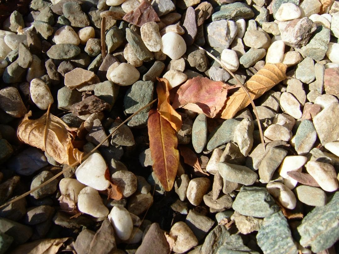 つ*さ様 FUJIFILM　Finepix　F710　極美　保管品　カードも！