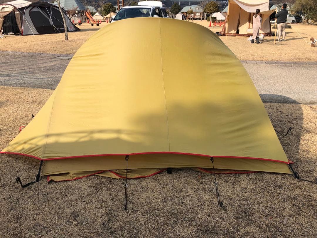 極上品⭐︎ Moss Stargazer モステント・スターゲイザー