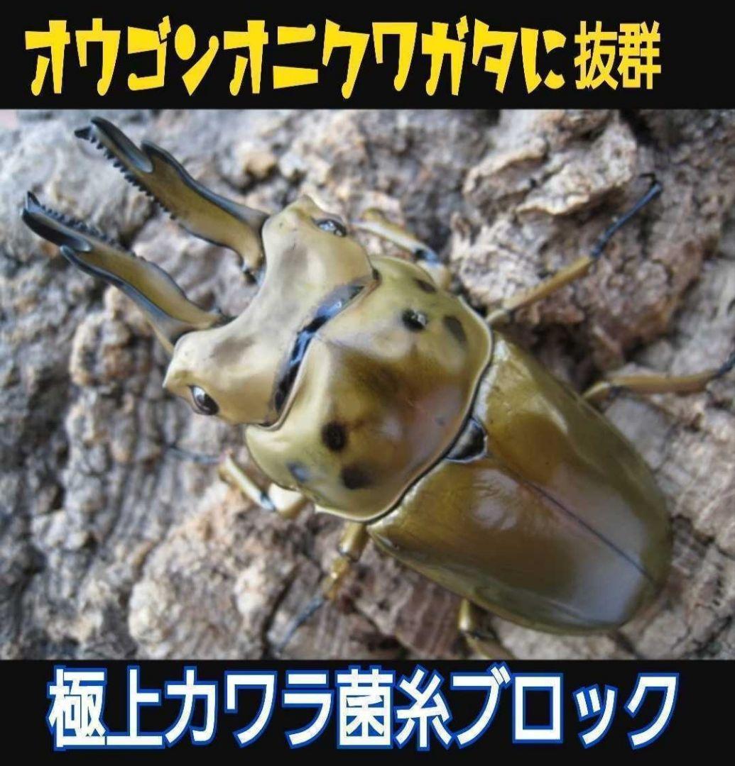 カワラタケ菌糸瓶1100ml 【８本】トレハロース強化配合！クワガタ全般に使える
