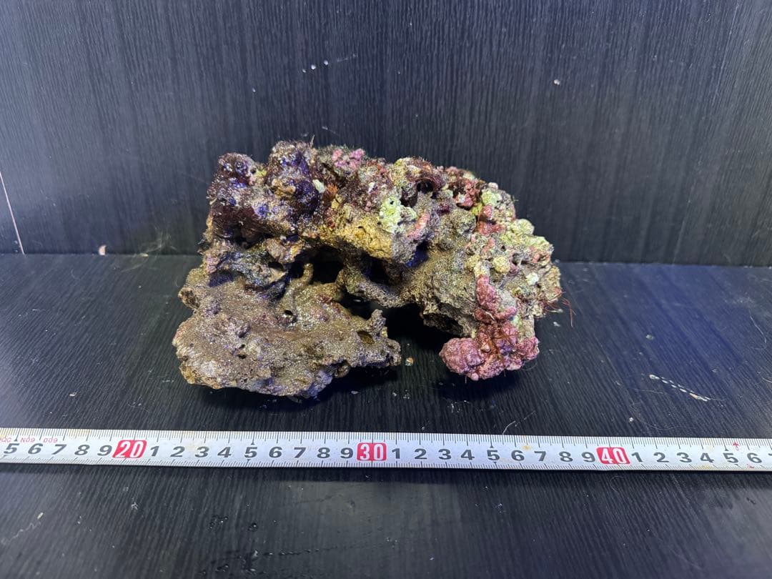 ナカジ 天然ライブロック 6.4kg (7個)