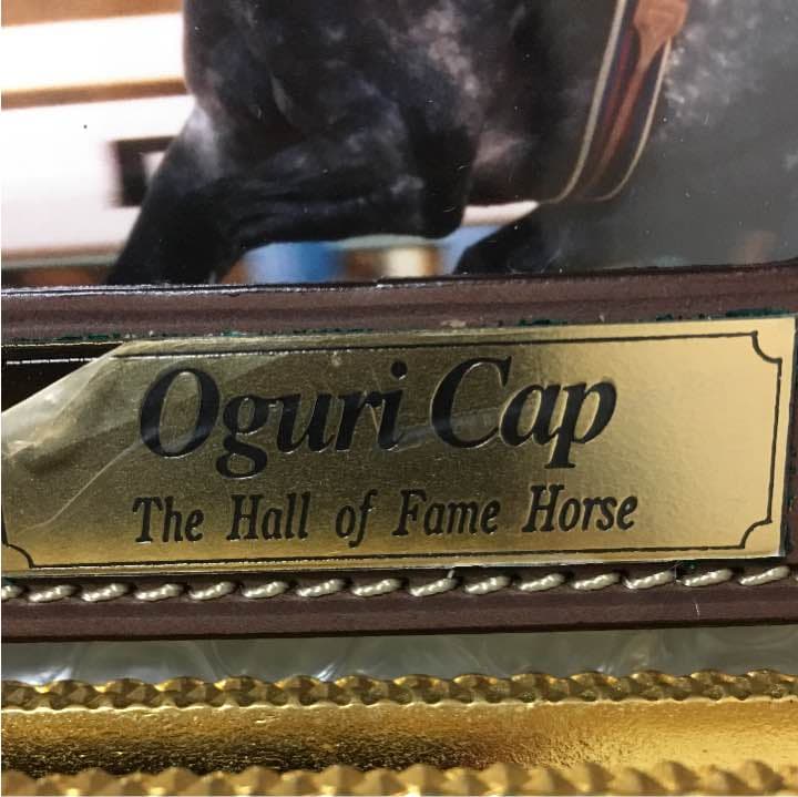 最終！！競馬ファン必見！！ 非売品フォトフレーム✨