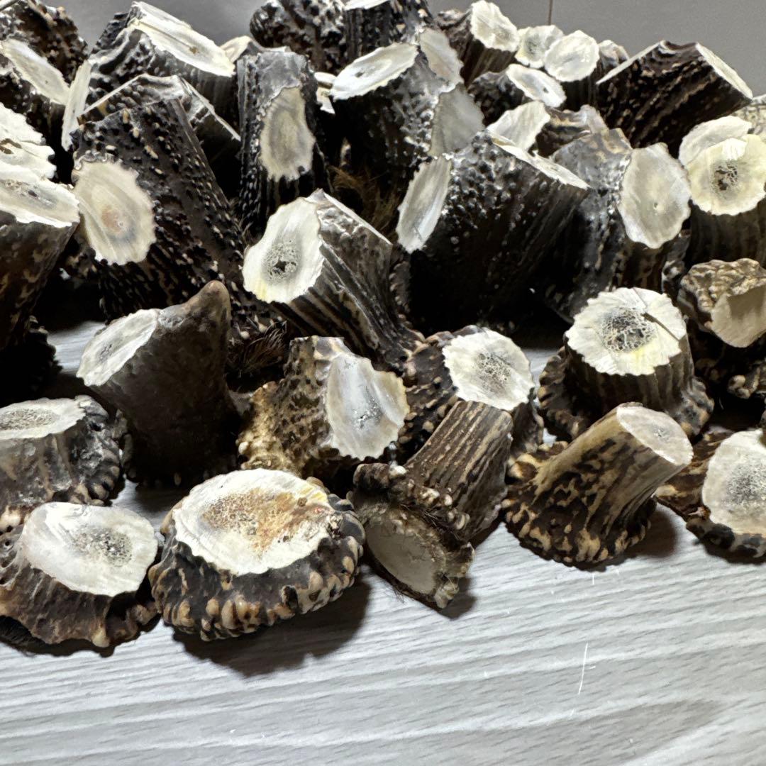 鹿の角　端材　ハンドメイド用