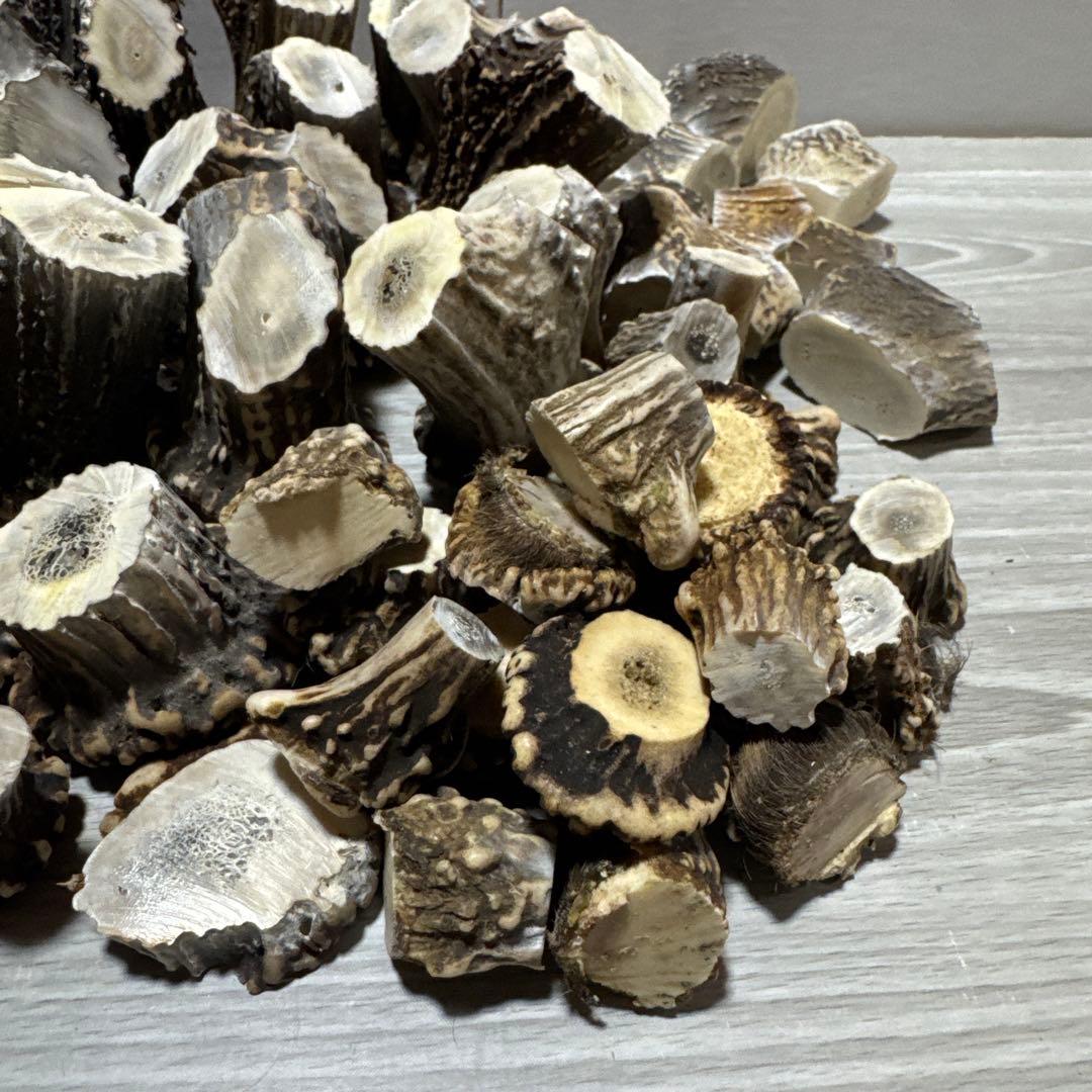 鹿の角　端材　ハンドメイド用