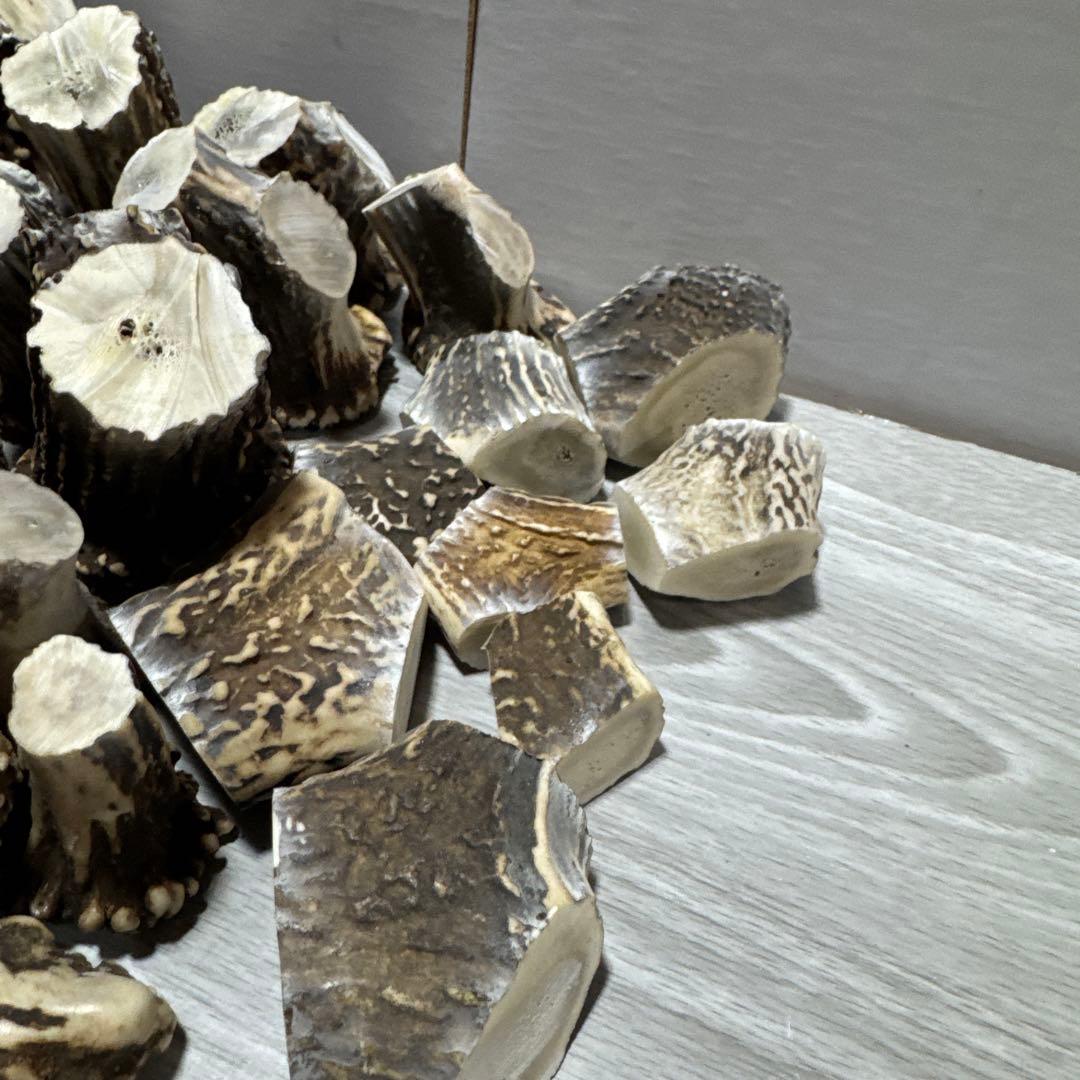 鹿の角　端材　ハンドメイド用