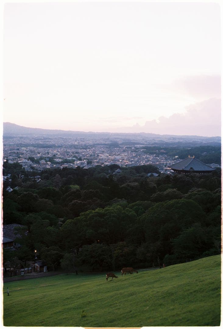 Nikon FE2 シルバー フィルムカメラ 一眼レフ 完動品