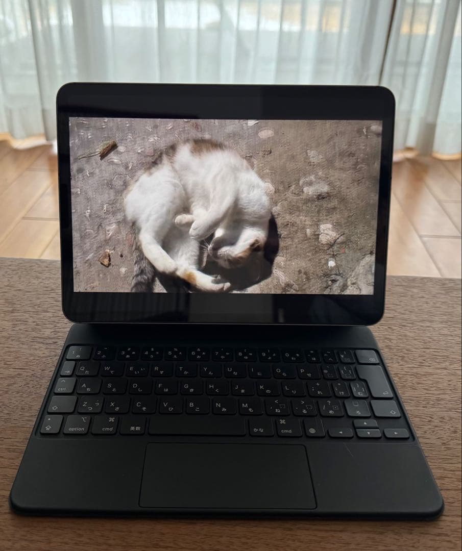 Magic Keyboard ブラック11インチ iPad用 MXQT2J/A