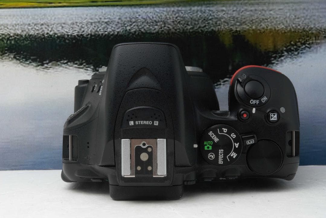 初心者向け　Nikon D5500 高性能 Wi-Fi搭載 届いてすぐ使える