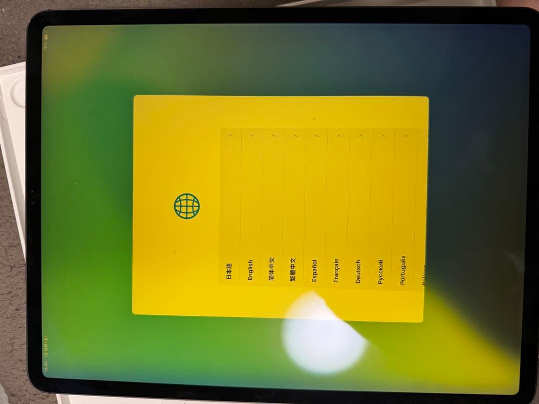 iPad Pro 12.9インチ Wi-Fi + Cellular 64GB