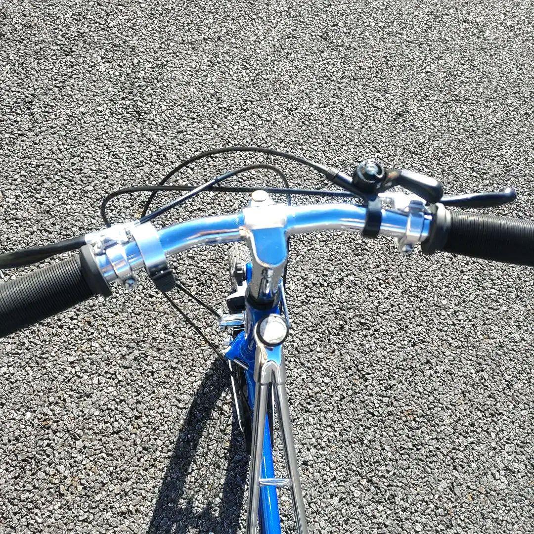 やりろーるダホン 折り畳み オールドダホンⅢ 7速仕様 old dahon