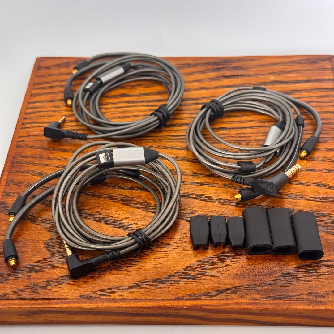 Sennheiser IE900 ゼンハイザー【付属品完備】