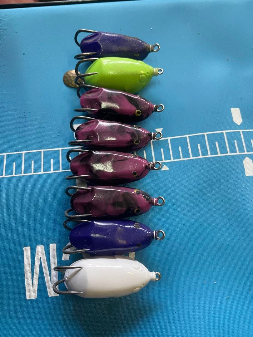 シ*ラ様 雷魚　フロッグ