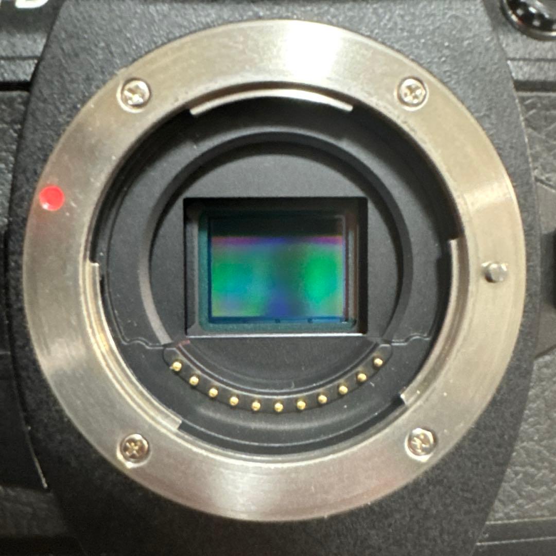 OLYMPUS (オリンパス) OM-D E-M1 Mark II ボディ