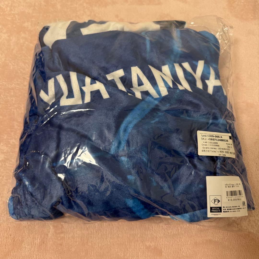 激レア★ファイターズ 田宮裕涼 HERO タオル 受注限定 ブランケット