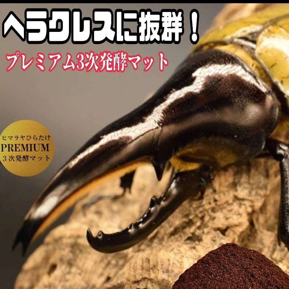カブトムシ幼虫がビッグに！プレミアム3次発酵マット【90リットル】産卵にも抜群！