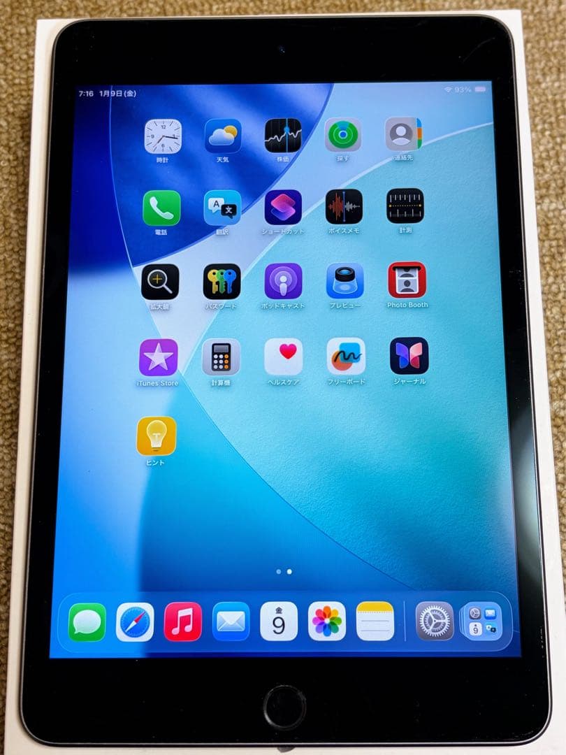 iPad mini 第5世代 64GB バッテリー95%