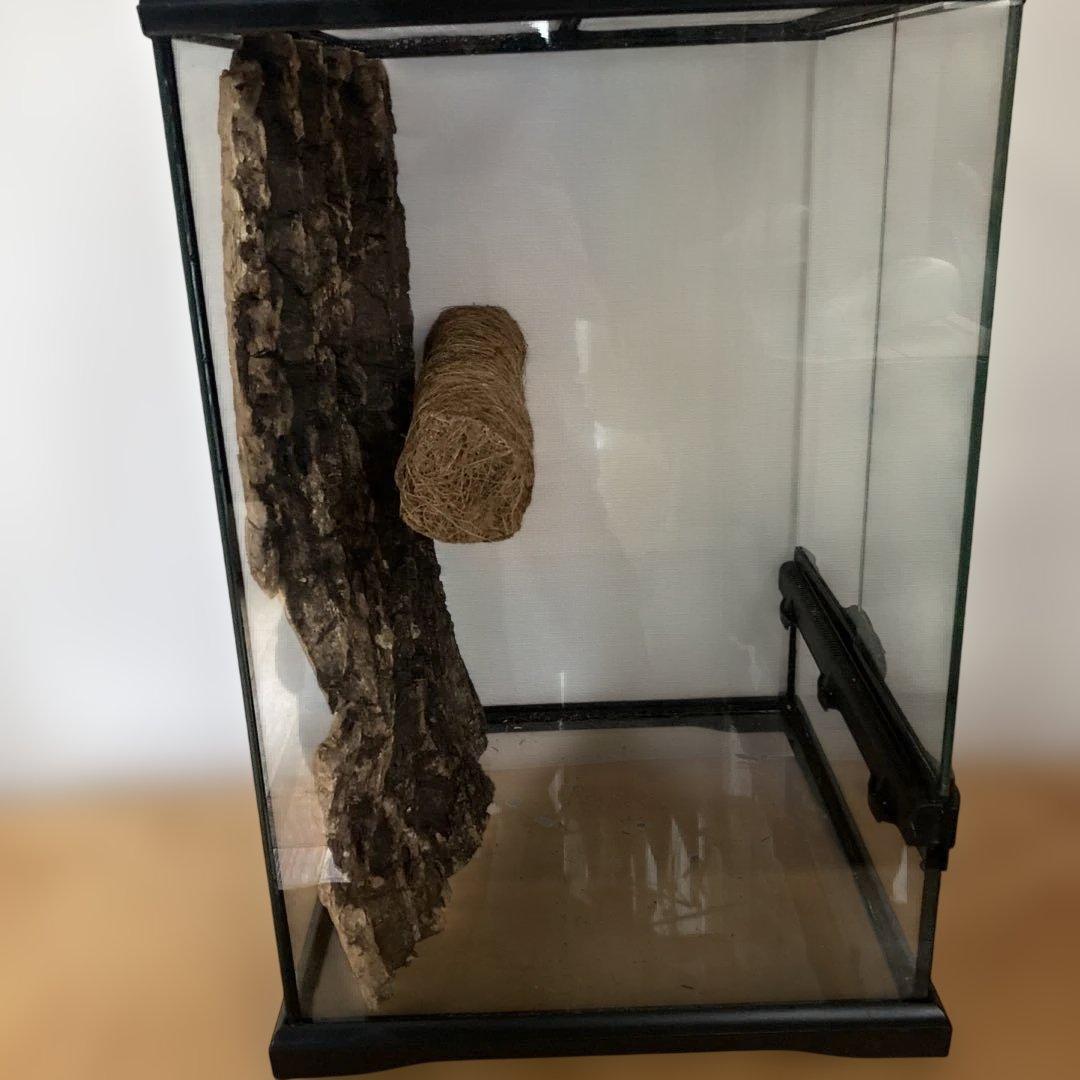 エキゾテラ　GEX　グラテラ3045 中古　②