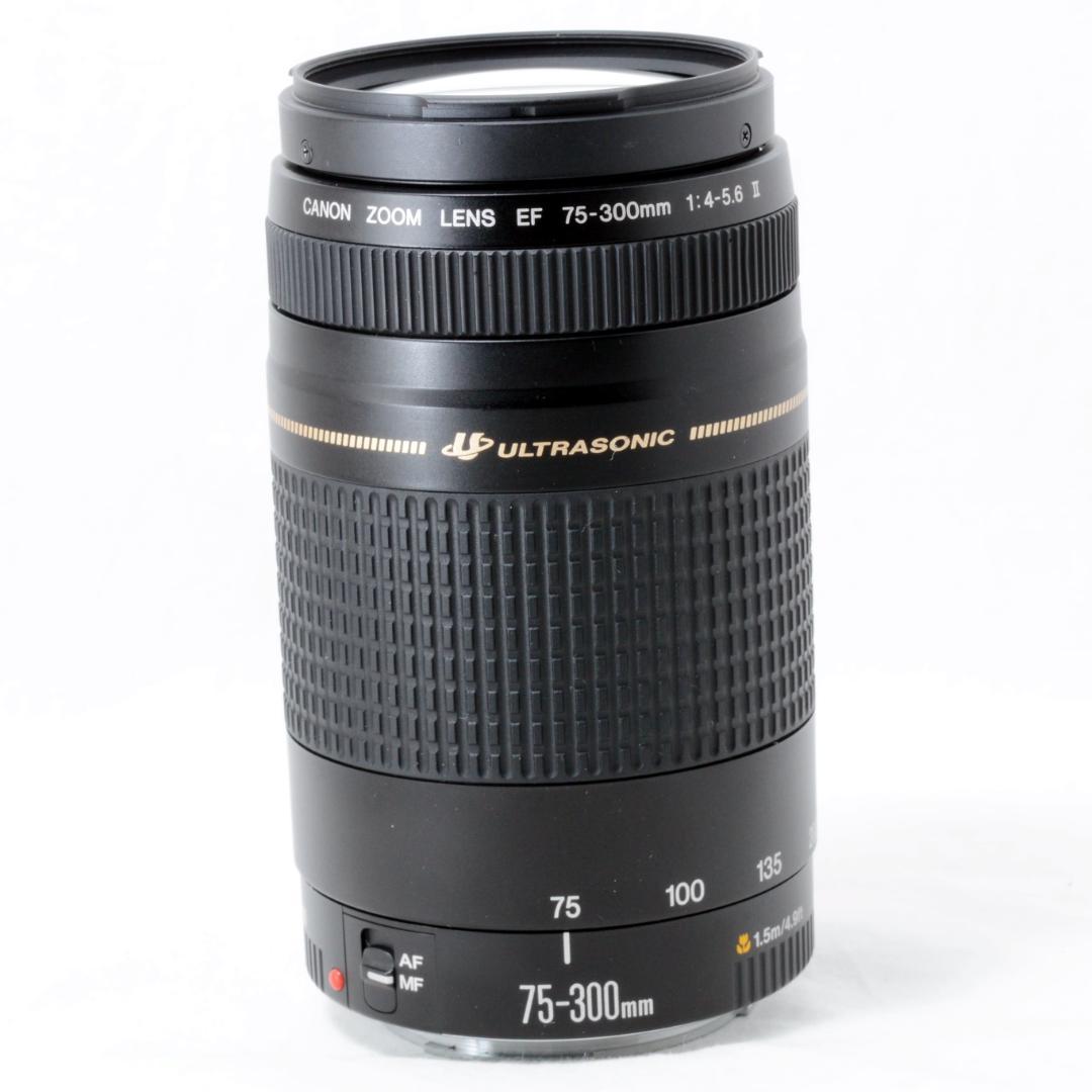 ⭐️良品⭐️Canon キャノン EF 75-300mm F4-5.6 ⅡUSM