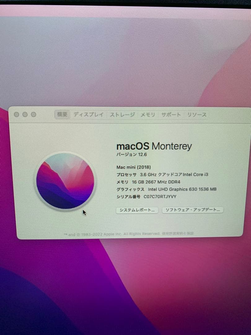 Mac mini メモリ16GB USテンキーキーボード　トラックパッド付き