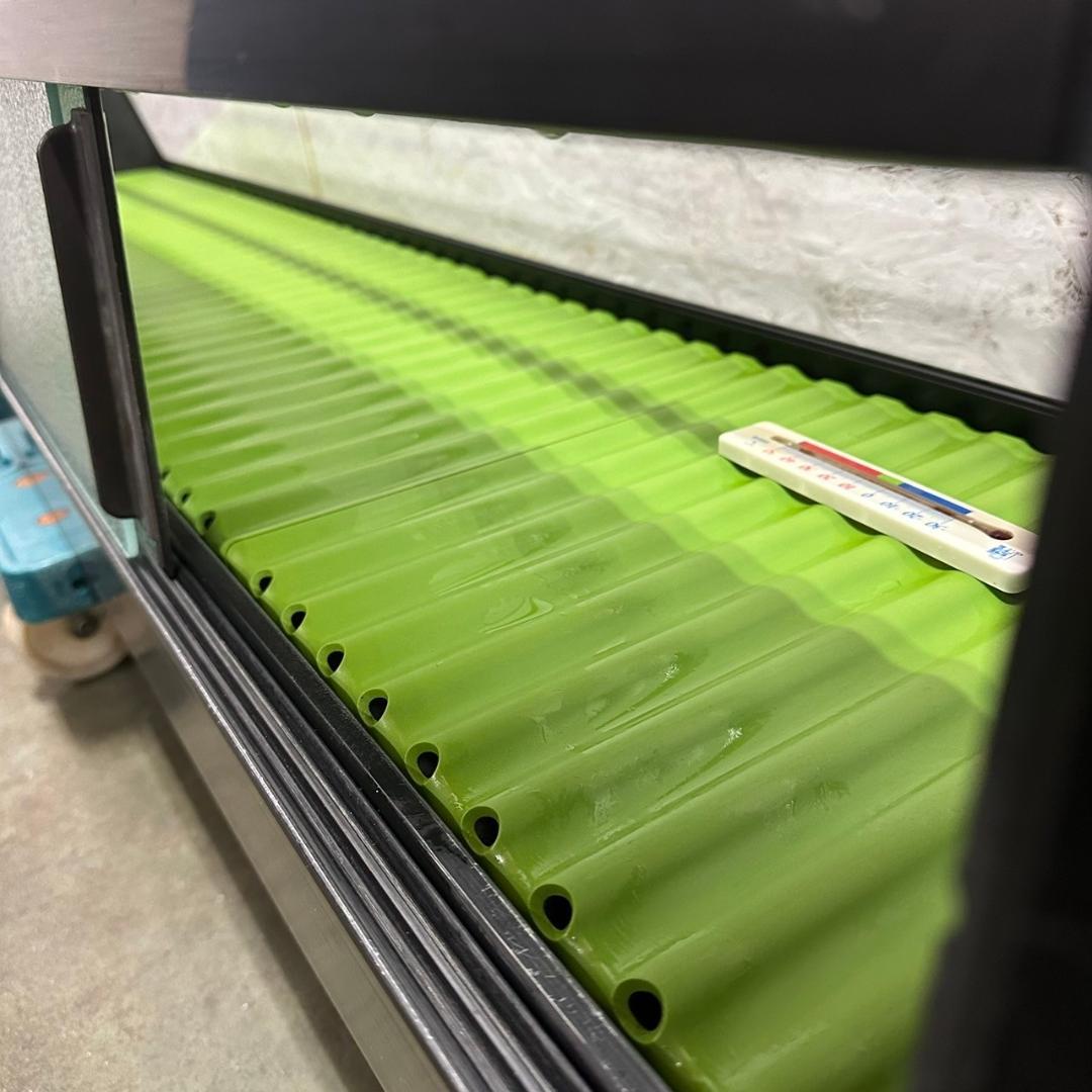 ホシザキ 冷蔵 ネタケース HNC-180A-R形 100V ① Y0405