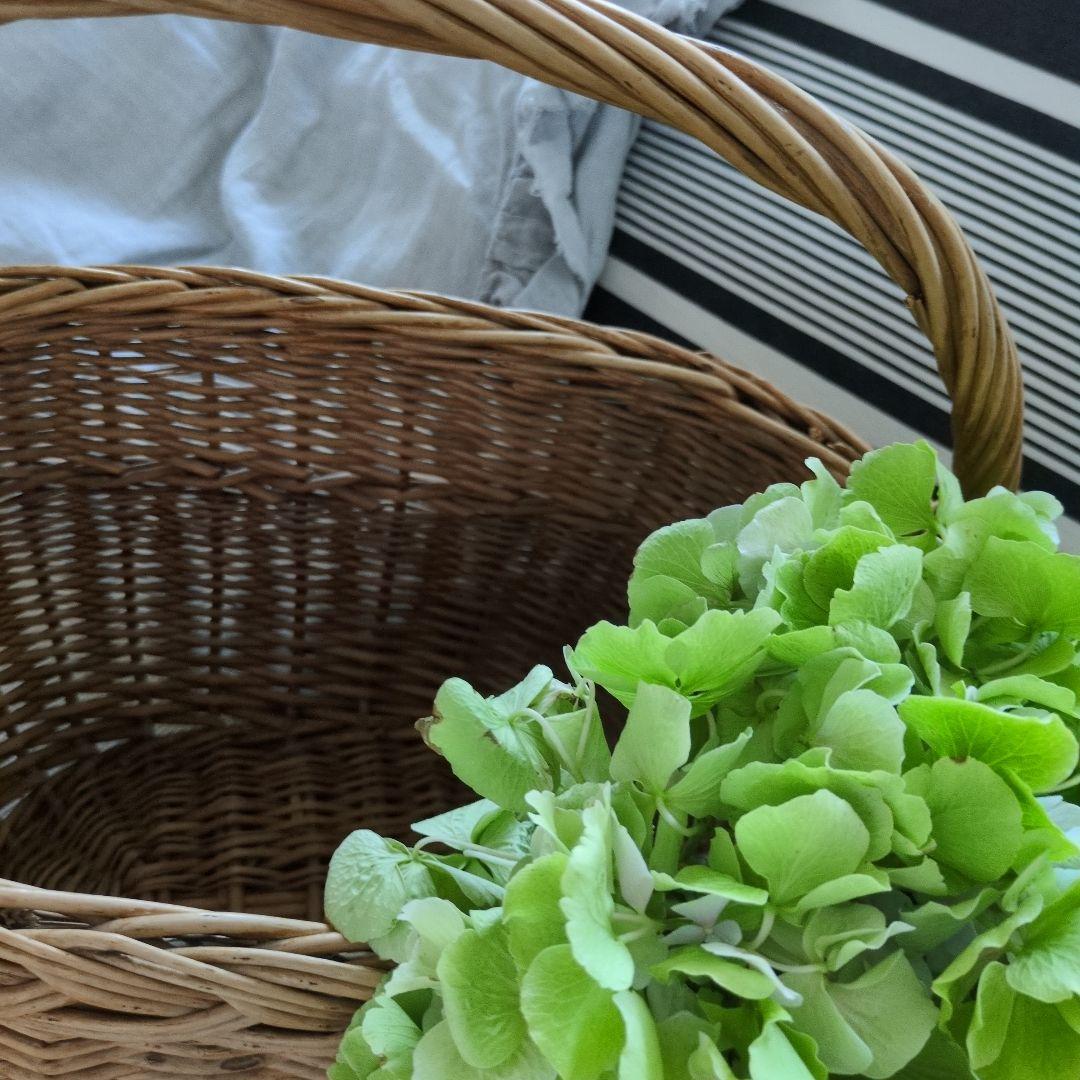 フランス　アンティーク　大きめ　パニエ　バスケット　籠　ブロカント雅姫